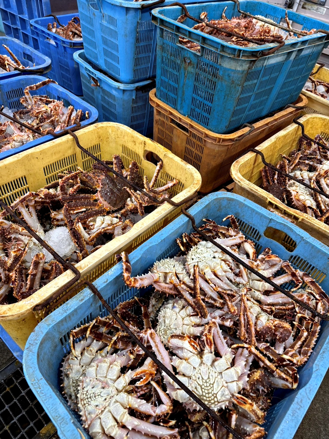 贈り物・ギフト・贅沢に【北海道根室産】タラバガニむき身 桐箱入(200g)