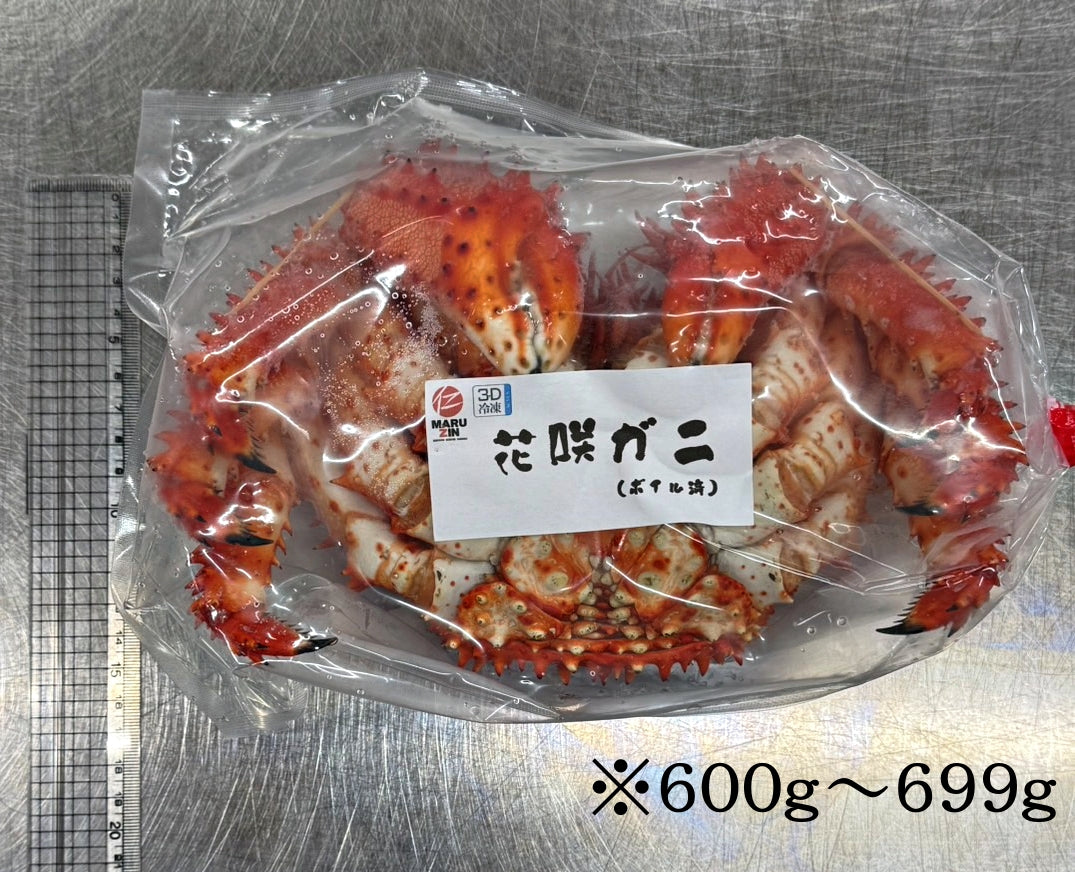 贈り物・ギフト・贅沢に【根室産新物】ボイル花咲ガニ