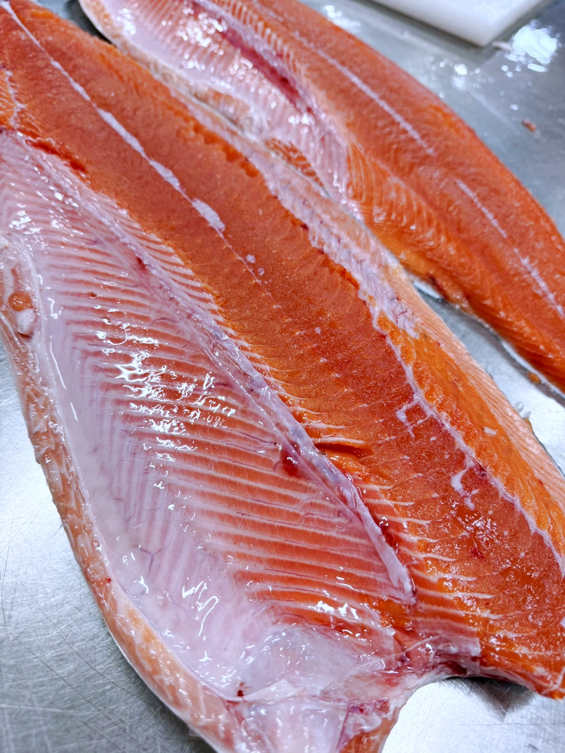 【NEW 根室産新物】マスノスケ(キングサーモン)切身