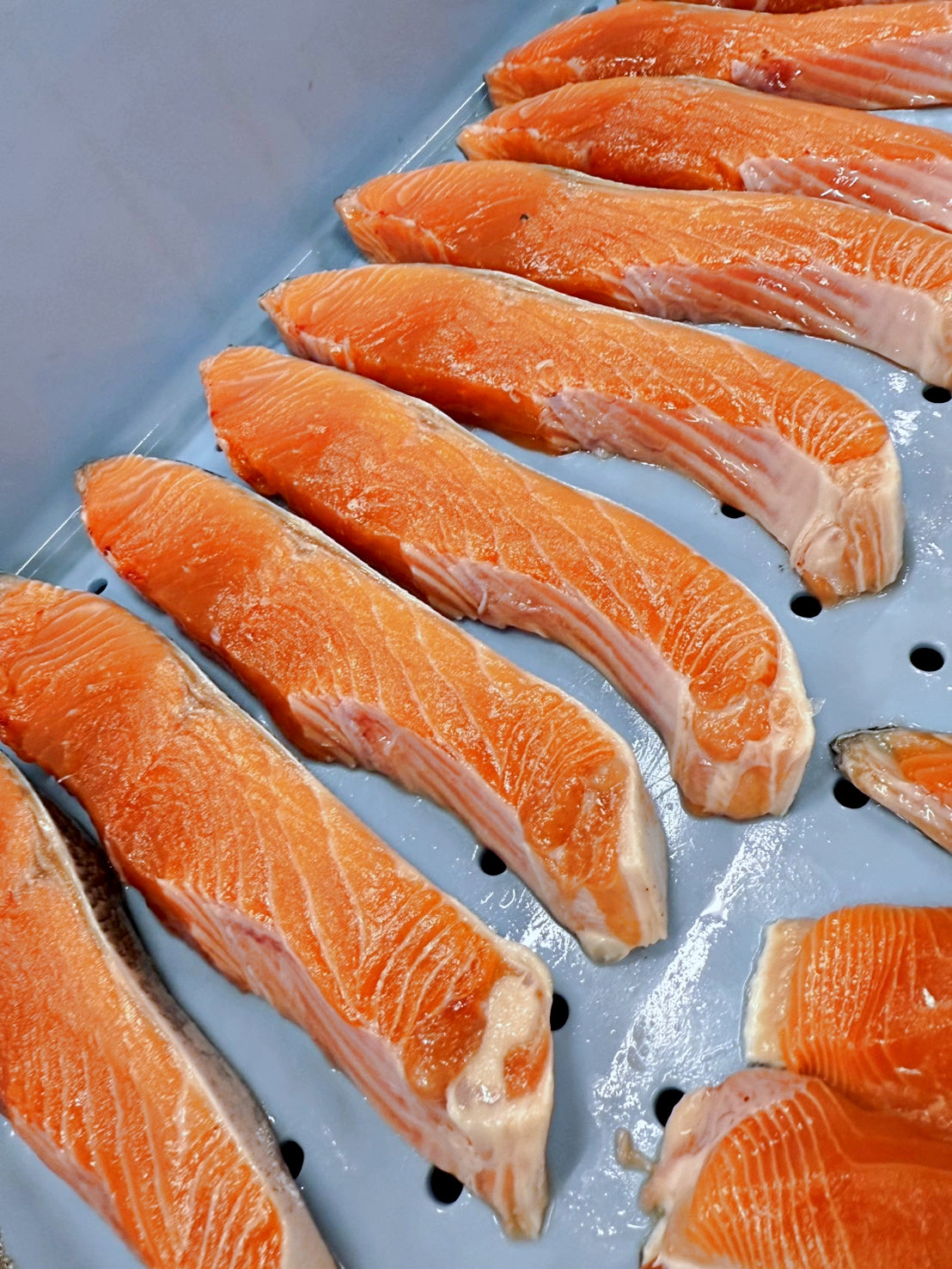 【NEW 根室産新物】マスノスケ(キングサーモン)切身