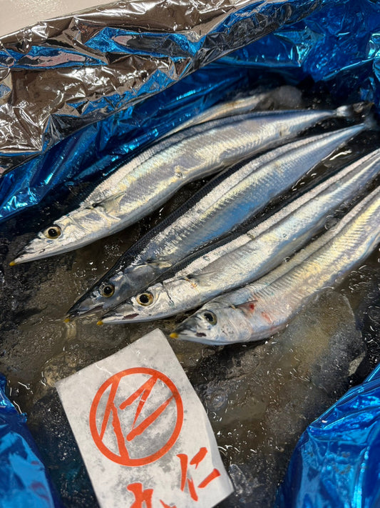 【新物】本日、根室産さんま🐟初水揚げされました☆