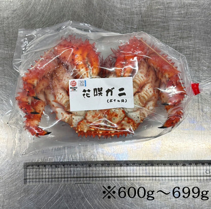 贈り物・ギフト・贅沢に【根室産新物】ボイル花咲ガニ