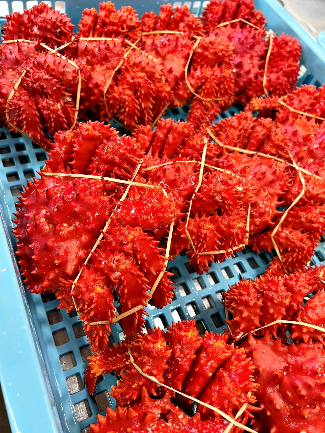 贈り物・ギフト・贅沢に【根室産新物】ボイル花咲ガニ