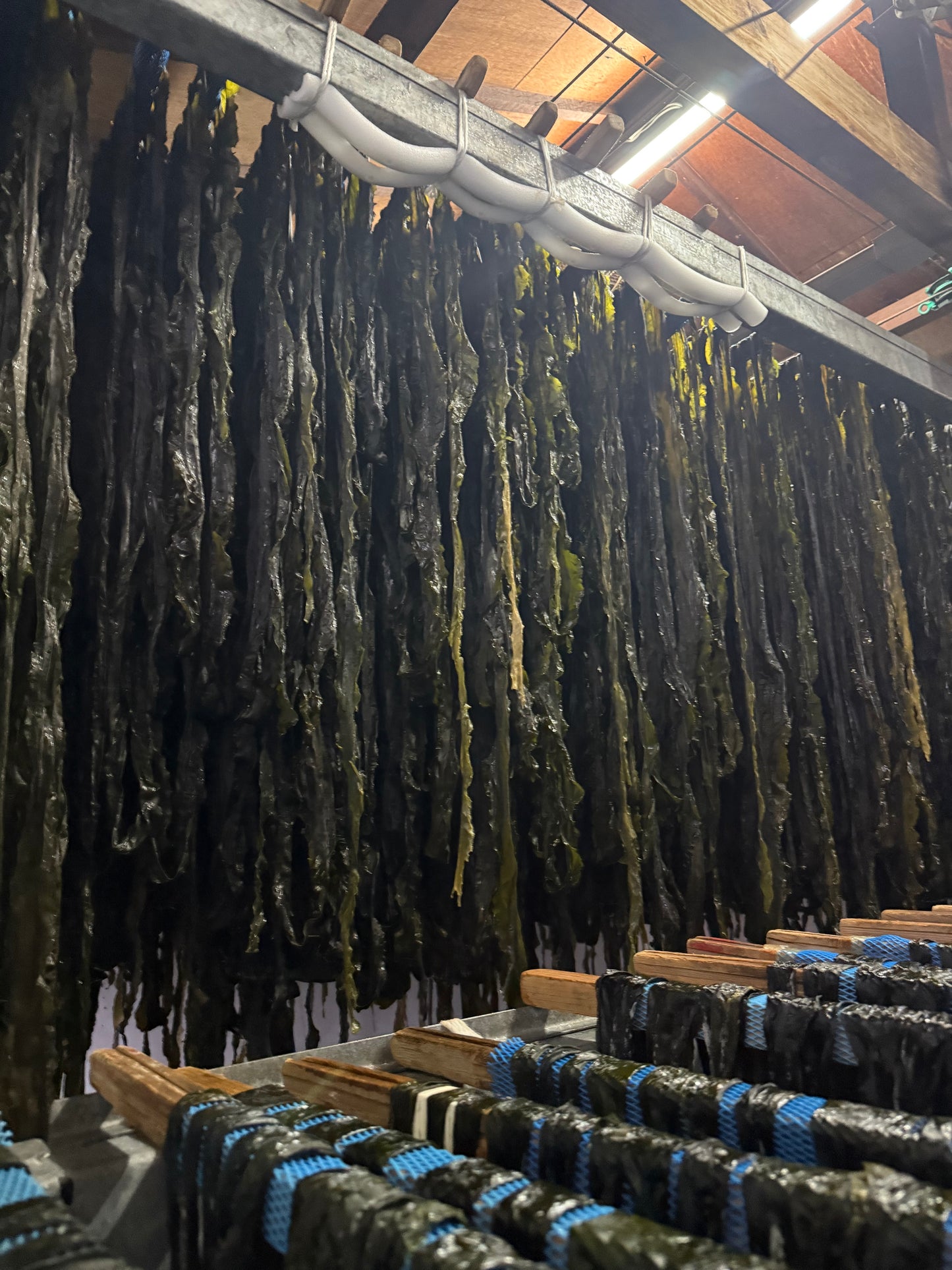 【新商品】さんまと昆布の佃煮